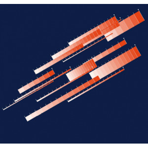 ZAN-1 ZAN-1